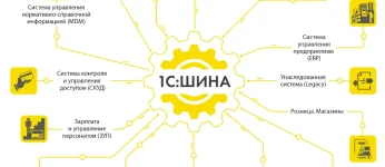 shina-01.webp shina-01.webp